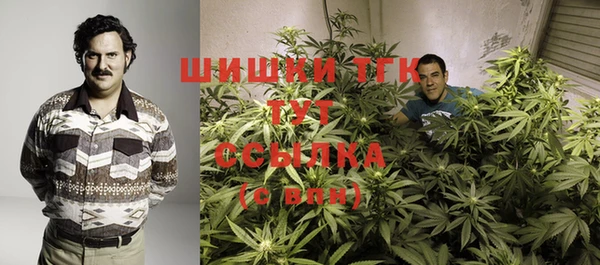 тгк Коряжма