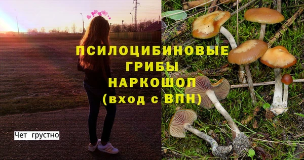 соль курить ск Балашиха