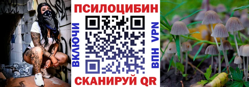 как найти   Дубна  Псилоцибиновые грибы Psilocybe 