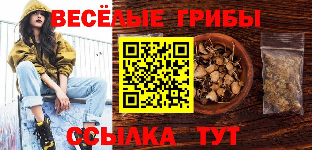 Галлюциногенные грибы Psilocybe Дубна