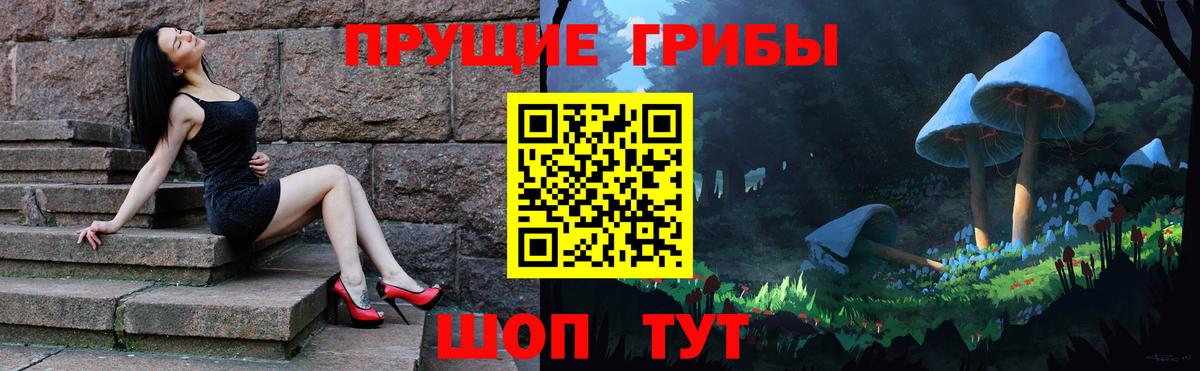 Галлюциногенные грибы Psilocybine cubensis  Дубна 