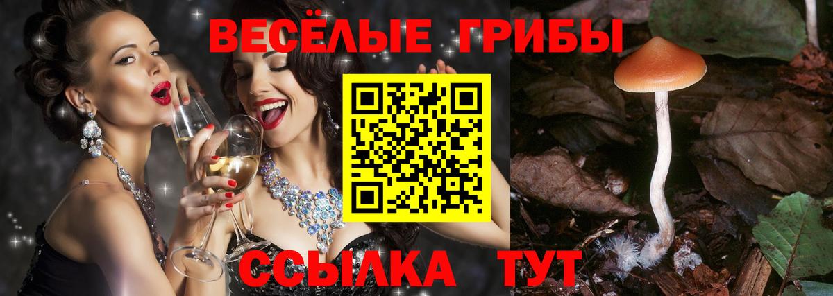 Псилоцибиновые грибы MAGIC MUSHROOMS  Вход с VPN  Дубна 