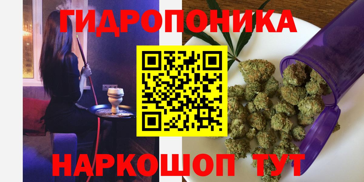 Каннабис гибрид  Дубна  Каннабис семена  Шишки марихуана марихуана  Канабис план 